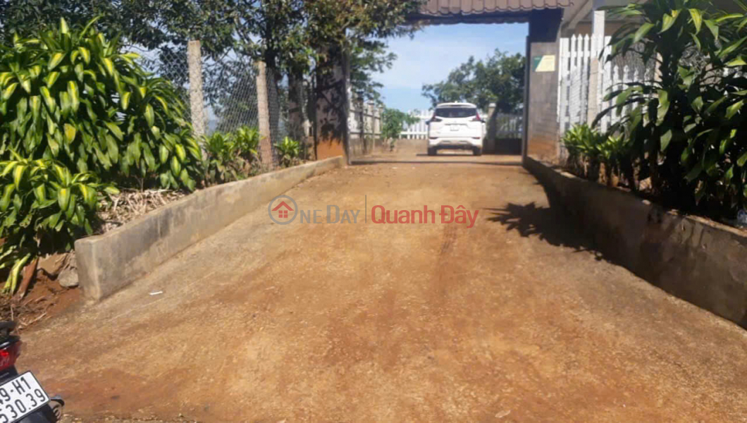 URGENT SALE Potential Land Lot in Hoa Ninh Commune, Di Linh, Lam Dong (real land, real owner, NO SPAM) | Vietnam | Sales đ 1.5 Billion