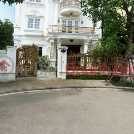 Vinhomes Riverside luxury villa 206m x 4 floors, 15m frontage, high-class interior, absolute security _0