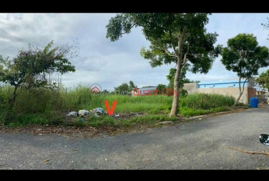 OWNER'S LAND - QUICK SALE OF LAND PLOT At National Highway 30, Tan Hung, Cai Be, Tien Giang Sales Listings