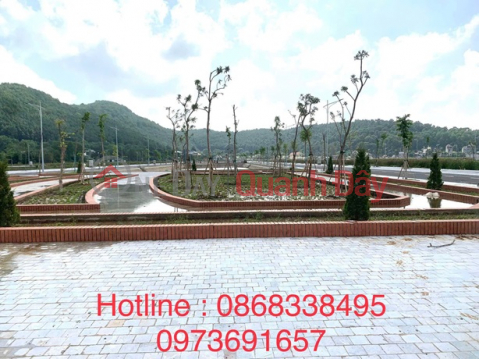 BEAUTIFUL LAND - GOOD PRICE - OWNER NEEDS TO SELL Land Lot In Urban Area 520, Rung Thong Town, Thanh Hoa. _0