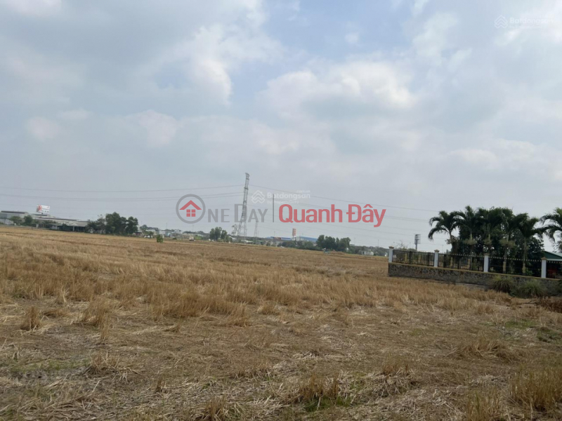 Land for sale in Tan Buu, Ben Luc, Long An 20,335m2 price 3.5 million\\/m2 300m from Nguyen Huu Tri street Sales Listings