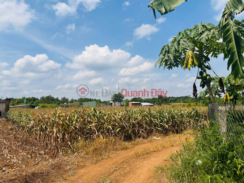 đ 1.85 Billion, OWNER Sells Land In Hung Loc Commune, Thong Nhat District, Dong Nai