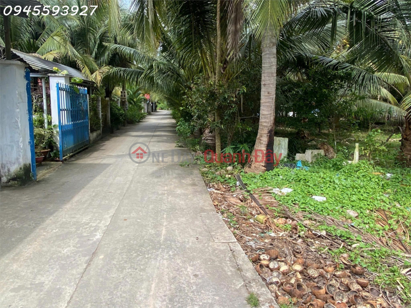 Property Search Vietnam | OneDay | Residential, Sales Listings Owner needs to sell 2141m2 of land in Phu Nhuan commune, Ben Tre city