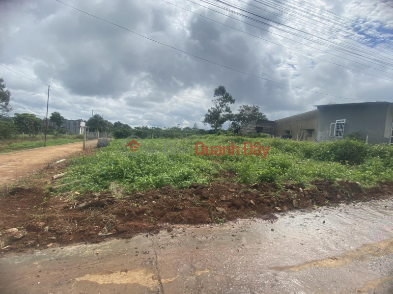 BEAUTIFUL LAND - GOOD PRICE - Land Lot For Sale Prime Location At 123 Hung Vuong Alley, Di Linh, Lam Dong Sales Listings