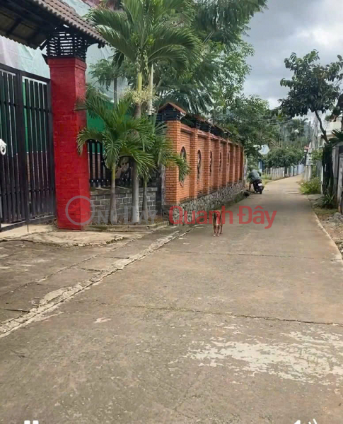 Selling 150.2m2 of land near Thong Nhat - Phu Hoi - Duc Trong - Lam Dong - about 2km from Lien Nghia market Vietnam | Sales đ 1.3 Billion