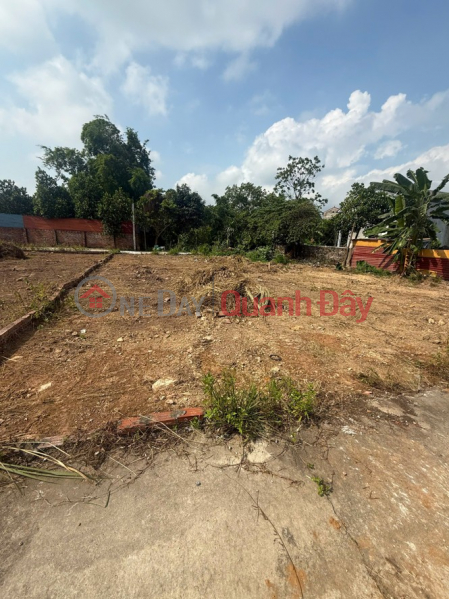 Property Search Vietnam | OneDay | Residential | Sales Listings | Owner needs to sell 303m2 of beautiful land in Lap Tri, Kim Anh - Potential location - Area with strong development potential.
