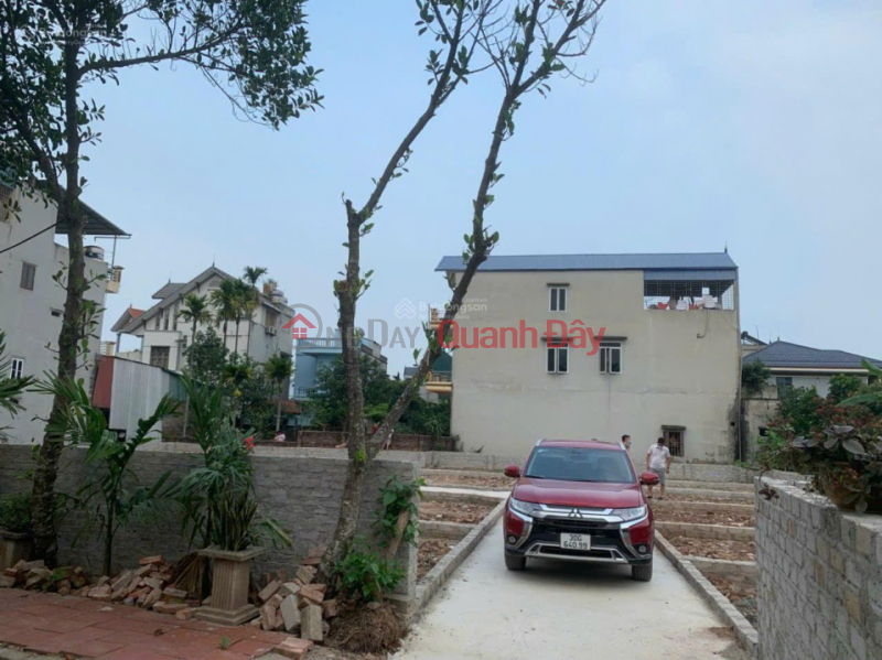 Property Search Vietnam | OneDay | Residential | Sales Listings 45m2 for sale in Kim Thu Thanh Oai, super attractive price for investment