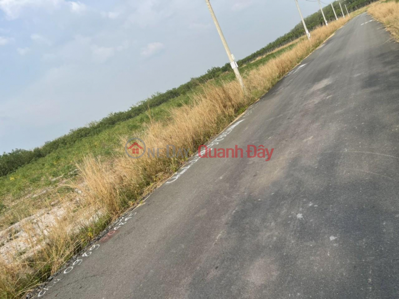 BEAUTIFUL LAND - GOOD PRICE - For Quick Sale 2 Land Lots In Minh Thanh Ward, Chon Thanh Town, Binh Phuoc, Vietnam, Sales | đ 380 Million