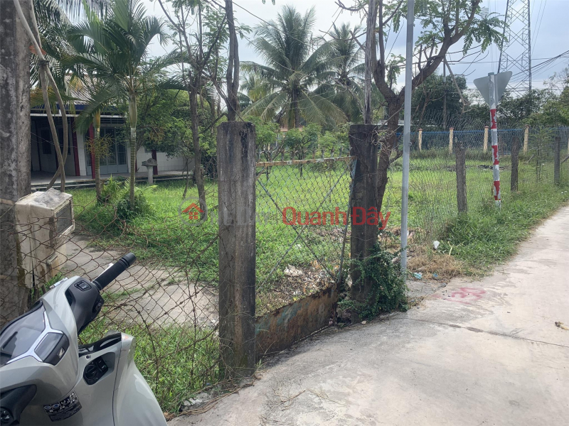 Property Search Vietnam | OneDay | Residential Sales Listings | PRIMARY LAND - GOOD PRICE - Need to Sell Land Lot Quickly in Thanh Phu Commune, Chau Thanh, Tien Giang