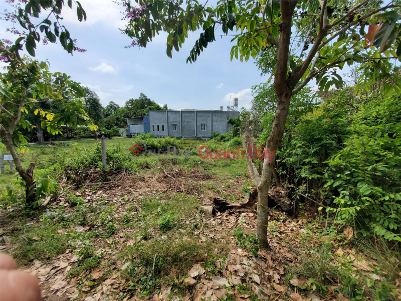 Property Search Vietnam | OneDay | Residential Sales Listings BEAUTIFUL LOCATION - GOOD PRICE - Land Lot For Quick Sale In Cu Chi, near Tay Bac Industrial Park