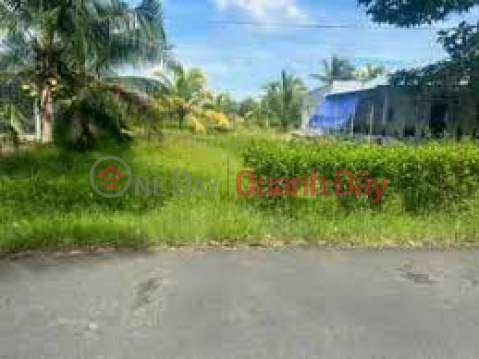 The owner urgently sells a 100% agricultural plot of land at Duong Ky Hiep Street, Ward 2, Soc Trang City, Soc Trang Province _0