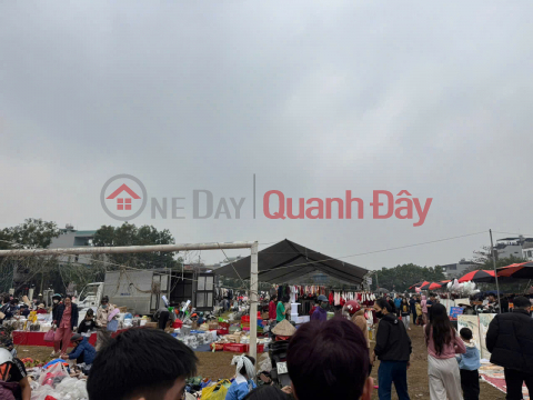 The owner urgently needs to sell a 74m² plot of land in the center of the old Chi Dong town, near Quang Minh Industrial Park. _0