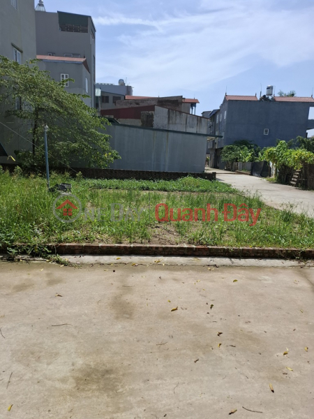 Property Search Vietnam | OneDay | Nhà ở Niêm yết bán | Bán đất chợ Kim – Xuân Nộn, 48m x 6m oto tải vào nhà, thông ô bàn cờ, giá 2,x tỷ TL. LH: 0936123469