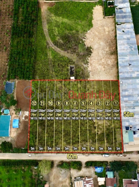 Làm ơn chọn Nhà ở Niêm yết bán | đ 13,5 tỷ