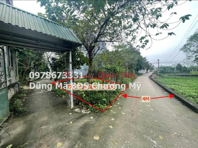 77.7M OWN A LOT OF LAND AT TL419 DAI YEN-CHUONG MY Sales Listings