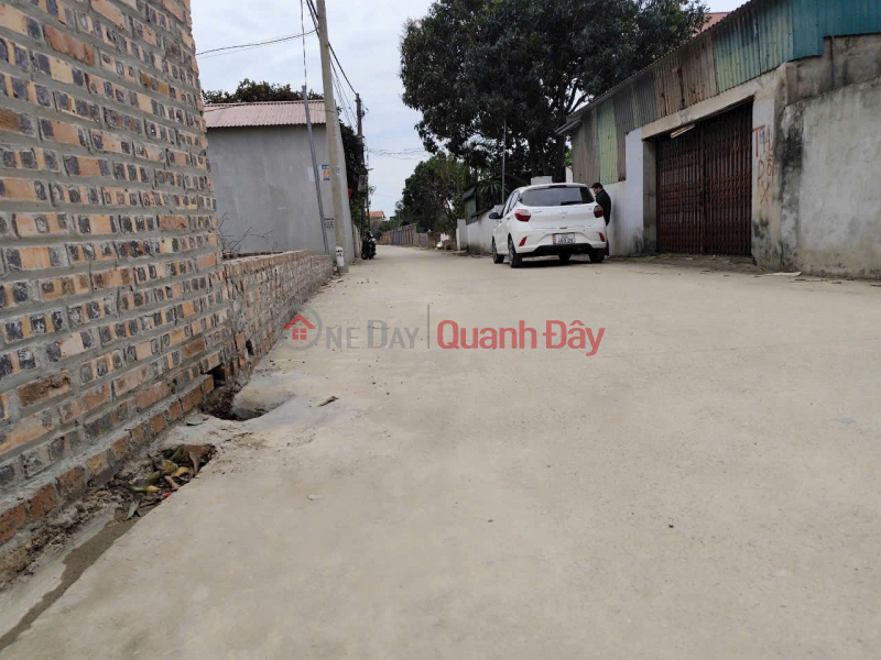 Need to liquidate land lot in Thanh Son village, Minh Phu, Soc Son, Hanoi Sales Listings