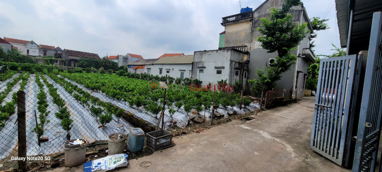  Làm ơn chọn Nhà ở | Niêm yết bán | đ 2,9 tỷ