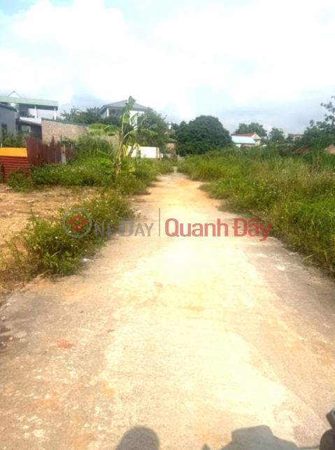 Owner needs to sell 303m2 of beautiful land in Lap Tri, Kim Anh - Potential location - Area with strong development potential. _0