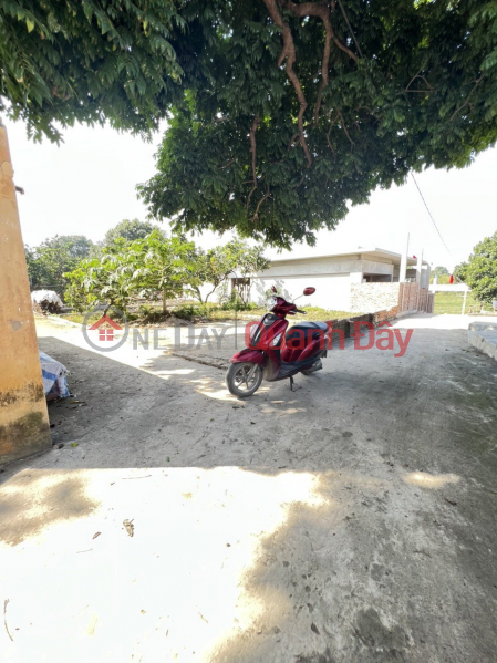 Property Search Vietnam | OneDay | Residential, Sales Listings Land plot for sale in Dong Phuong Yen Chuong My Ha commune, 55m wide, comfortable road, 500m from National Highway 6