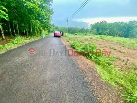 Beautiful Land - Good Price - Need to Sell a Plot of Land in a Beautiful Location with 2 Frontages in LOC TAN LOC Commune, NINH BINH PHUOC _0