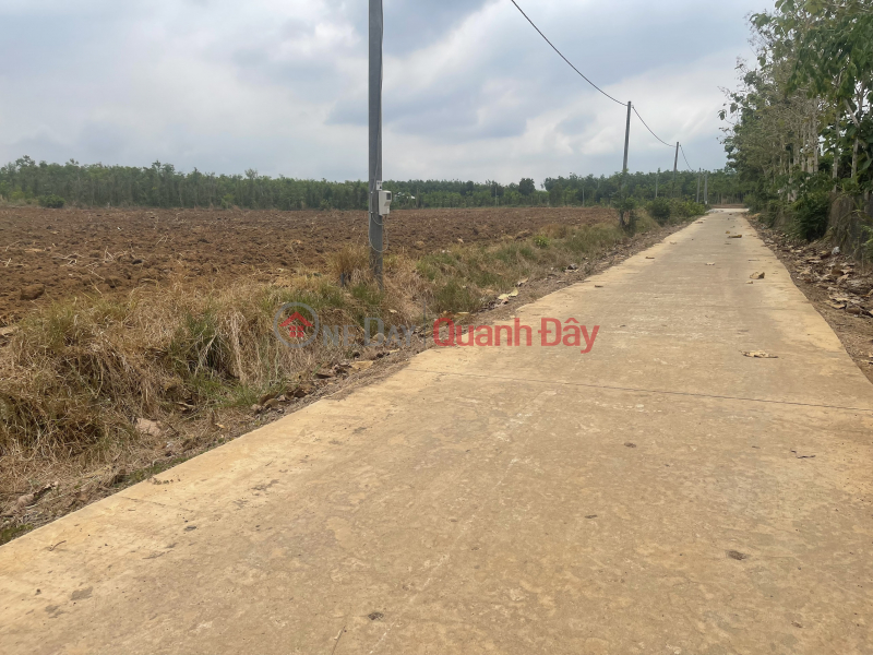 Property Search Vietnam | OneDay | Nhà ở | Niêm yết bán, Đất Nền Thổ Cư 250m đồng giá 200tr nền