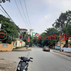 FOR SALE LAND OF INTERIOR INTERNAL DONG ANH - 33M CAR ROAD TO DONGANHLAND LAND _0