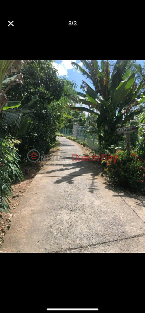 BEAUTIFUL LAND - GOOD PRICE - OWNER NEEDS TO SELL LAND LOT IN Tan Long Hoi Commune - Mang Thit, Vinh Long Province _0