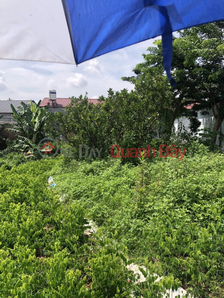 đ 9 Billion | HOT HOT- LOT OF Land FOR SALE URGENTLY in Nam Tien Ward, Pho Yen City, Thai Nguyen Province