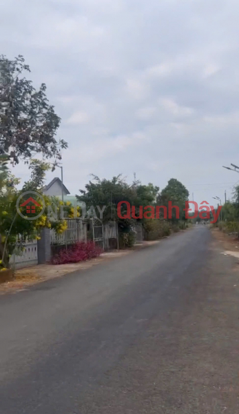 PRIME LAND FOR SALE BY OWNER IN HAMLET 3, THANH HOA COMMUNE, BU DOP DISTRICT, BINH PHUOC PROVINCE Sales Listings