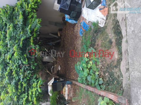 Rare, Only 6.8 billion, Own 52m2 of Land in Tu Hoang, Nam Tu Liem _0