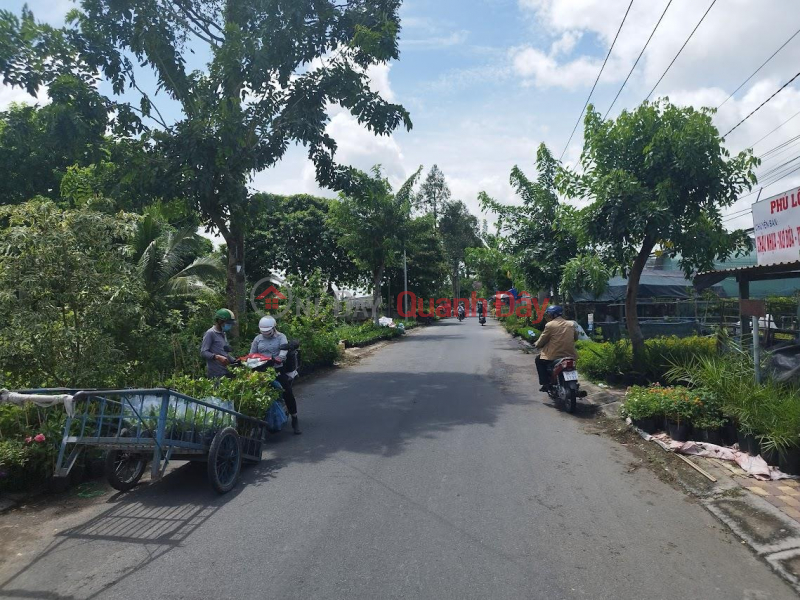 Real estate for sale right in the tourist flower village of Sa Dec city, Dong Thap, nearly 700m2 Vietnam | Sales | đ 3.6 Billion