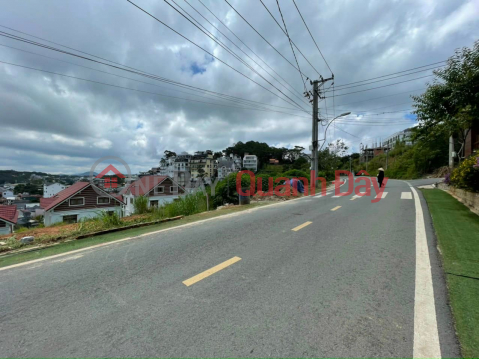 Selling a land lot with two fronts Dong Da - Ward 3 - Da Lat _0