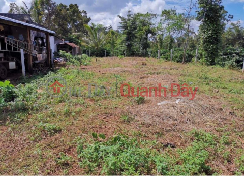 FOR SALE Land Lot Facade GENERAL Location In Hoa Dong Commune, Krong Pak District, Dak Lak Province _0