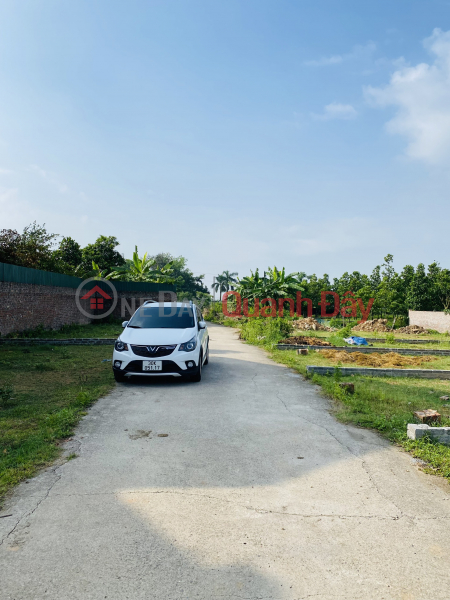 Land for sale in Huong Dinh, Mai Dinh close to Noi Bai industrial park CN2, CN3 with car access to the land for just over 800 million Vietnam | Sales ₫ 20 Million