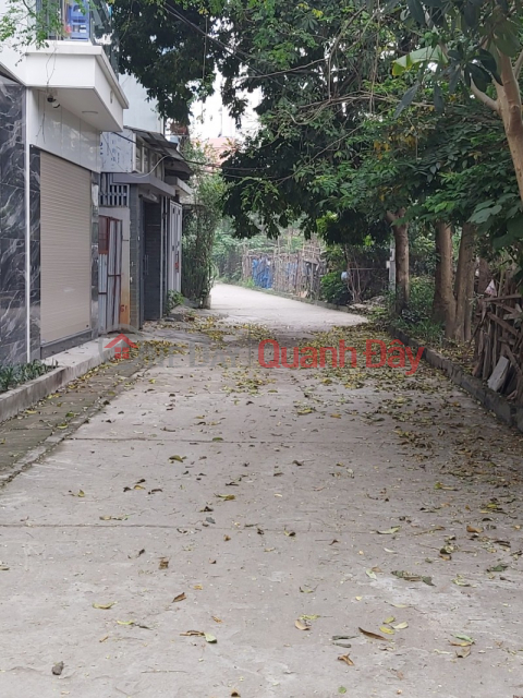 NGOC THUY LAND FOR SALE - NEAR THUONG THANH PARK - SUBDIVISION AREA - LOTS OF AMENITIES - BEAUTIFUL SPECIFICATIONS _0