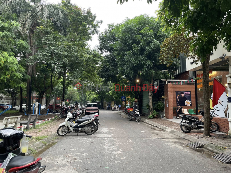 đ 45,6 tỷ, LOA LOA BÁN GẤP BIỆT THỰ LÀNG VIỆT KIỀU CHÂU ÂU MỘ LAO ,HÀ ĐÔNG VỊ TRÍ ĐẮC ĐỊA - KHU VIP HÀ ĐÔNG - SÁT MẶT