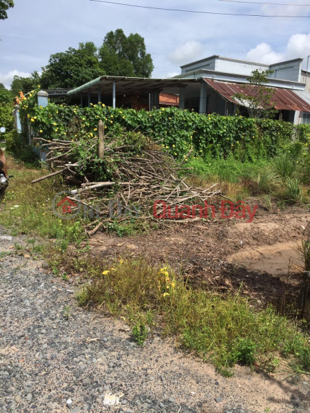 Property Search Vietnam | OneDay | Residential, Sales Listings | OWNER Needs to Sell Land Lot in Chanh Hamlet, Hiep Thanh Commune, Go Dau District, Tay Ninh Province.