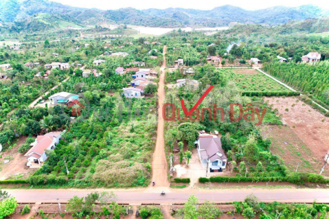 BEAUTIFUL LAND - GOOD PRICE Need to sell quickly 2 plots of land in Prime Location in Dray Bhang Commune, Cu Kuin District, Daklak Province _0