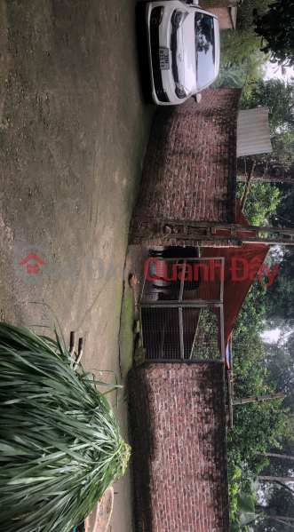 Property Search Vietnam | OneDay | Residential | Sales Listings Need to transfer land plot of Tien Phuong Mountain Area: 600m (300m residential, 300m garden)