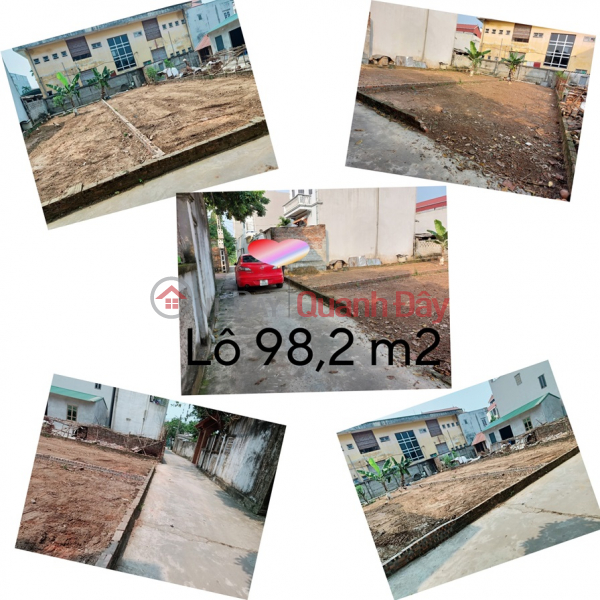 Property Search Vietnam | OneDay | Residential Sales Listings BEAUTIFUL LAND - GOOD PRICE - Owner Sells Urgently 02 Lots of Land Near Pediatrics and Obstetrics Hospital at Ngoc Liep, Quoc Oai, Hanoi