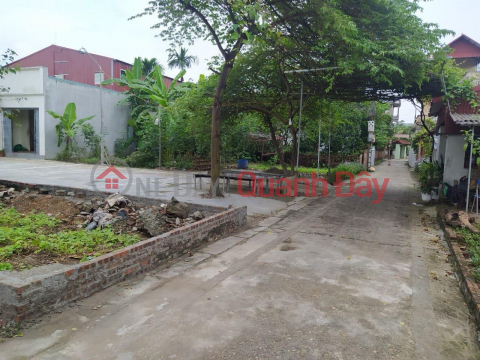 The owner needs money to urgently sell a beautiful plot of land in My Noi, Bac Hong, Dong Anh, Hanoi _0