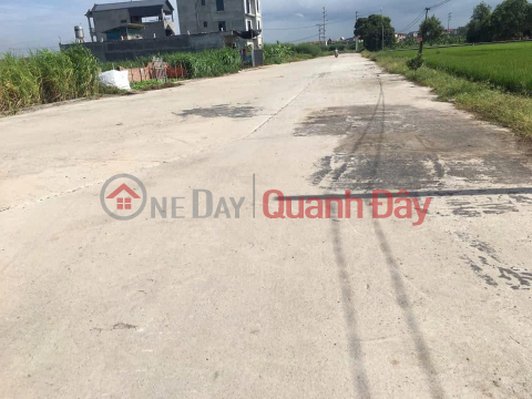 BÁN ĐẤT 90 m2 ĐẤU GIÁ ĐÌNH TỔ – THUẬN THÀNH, BẮC NINH - LH 0985865658 _0