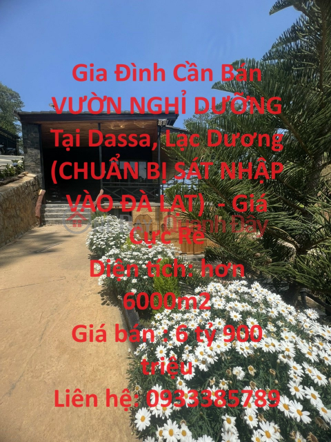 Gia Đình Cần Bán VƯỜN NGHỈ DƯỠNG Tại Dassa, Lạc Dương (CHUẨN BỊ SÁT NHẬP VÀO ĐÀ LẠT) - Giá Cực Rẻ _0