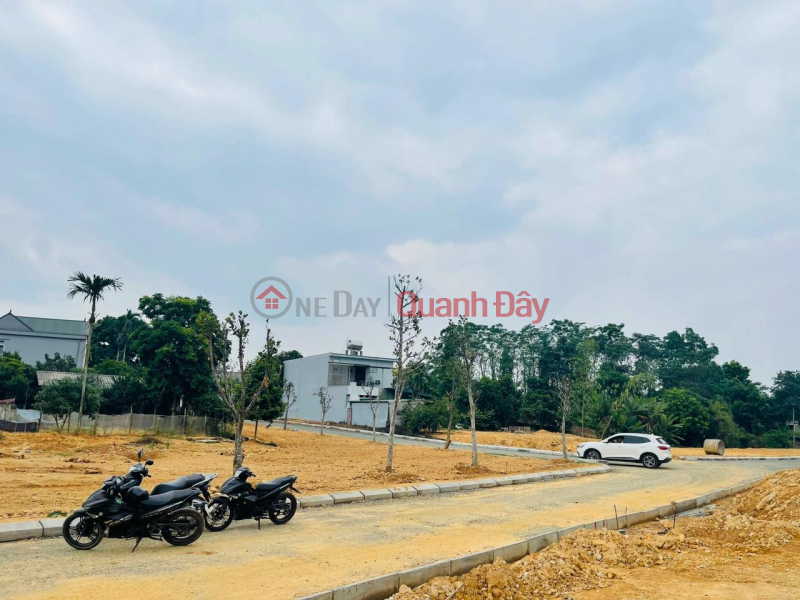 OWNER NEEDS TO SELL 4 LOT OF LAND QUICKLY IN Thach That - Hanoi Vietnam | Sales | đ 3.7 Billion