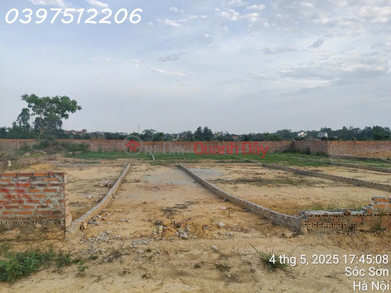Property Search Vietnam | OneDay | Nhà ở, Niêm yết bán | Siêu phẩm - Bán lô đất siêu đẹp tại Sóc Sơn, Hà Nội, DT 100m2, giá chỉ 10tr/m2