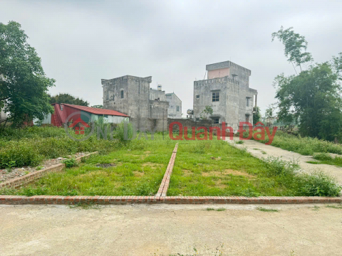 Beautiful land, Group 9, Quang Minh Town, Me Linh. Near Industrial Park and Tue Tinh Medical and Pharmaceutical College _0