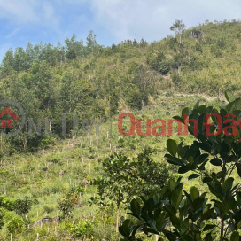 OWNER OWN A BEAUTIFUL Plot in Dien Khanh District, Khanh Hoa Province _0