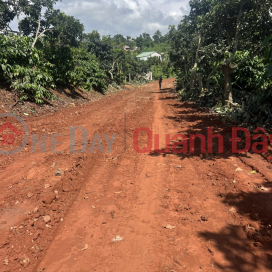 Hurry up, customers, invest in a super cheap lot - bangk in Lien Ha center, Tan Ha commune, super cheap _0