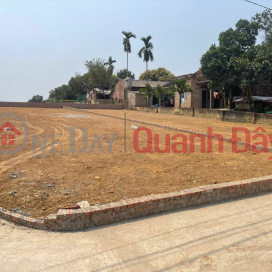 Chính chủ bán đất thôn Cẩm An, xã Cẩm Lĩnh, Ba Vì, Hà Nội - 232m2, , thích hợp đầu tư dài hạn _0