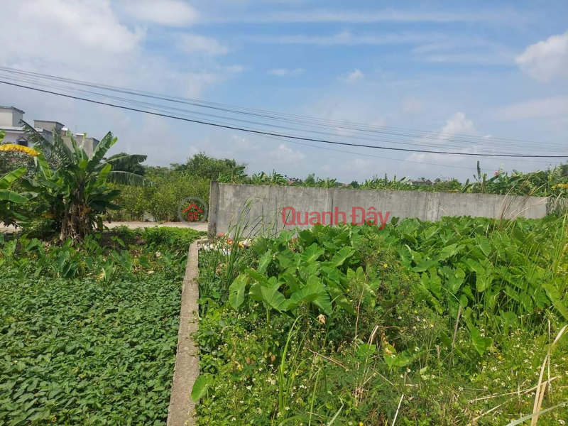 Property Search Vietnam | OneDay | Residential, Sales Listings LAND FOR SALE IN URBAN AREA, AREA 90M2, FRONTAGE 5M2 - GOOD PROFIT POTENTIAL, PRICE ONLY ABOVE 4 BILLION.